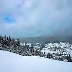 Hotel шепіт лісу *