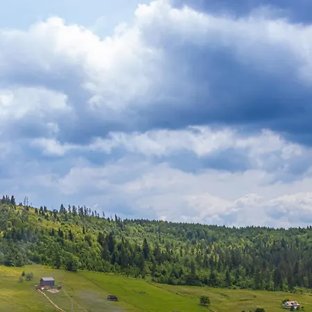 Szálloda шепіт лісу