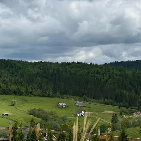 шепіт лісу *