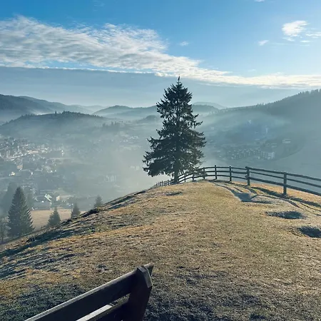 шепіт лісу * Bukovel